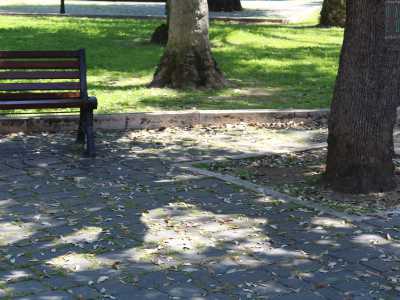 ad esempio le foglie degli alberi cadute non sono quasi mai spazzate� 